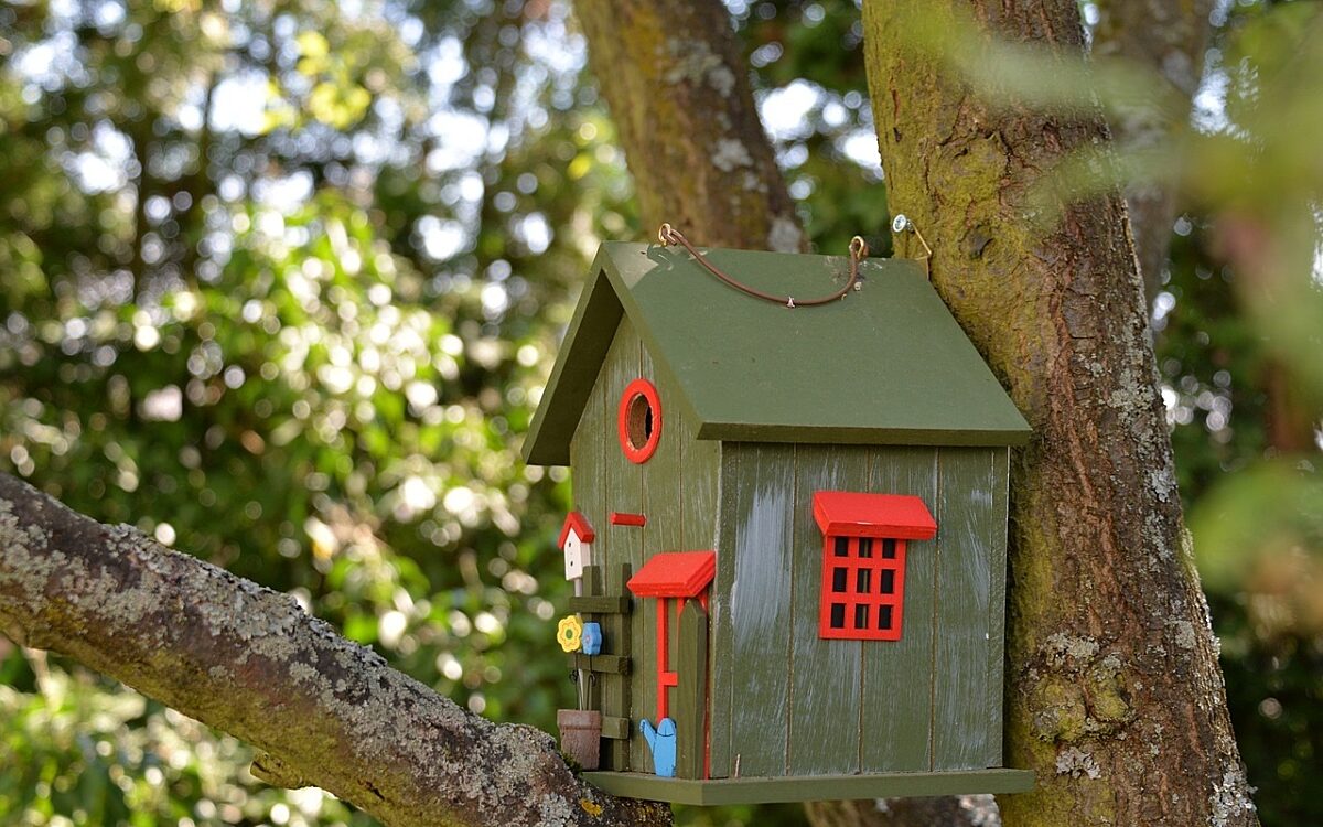 Basteln kreativ Vogelhaus pixabay Basteln kreativ Vogelhaus pixabay