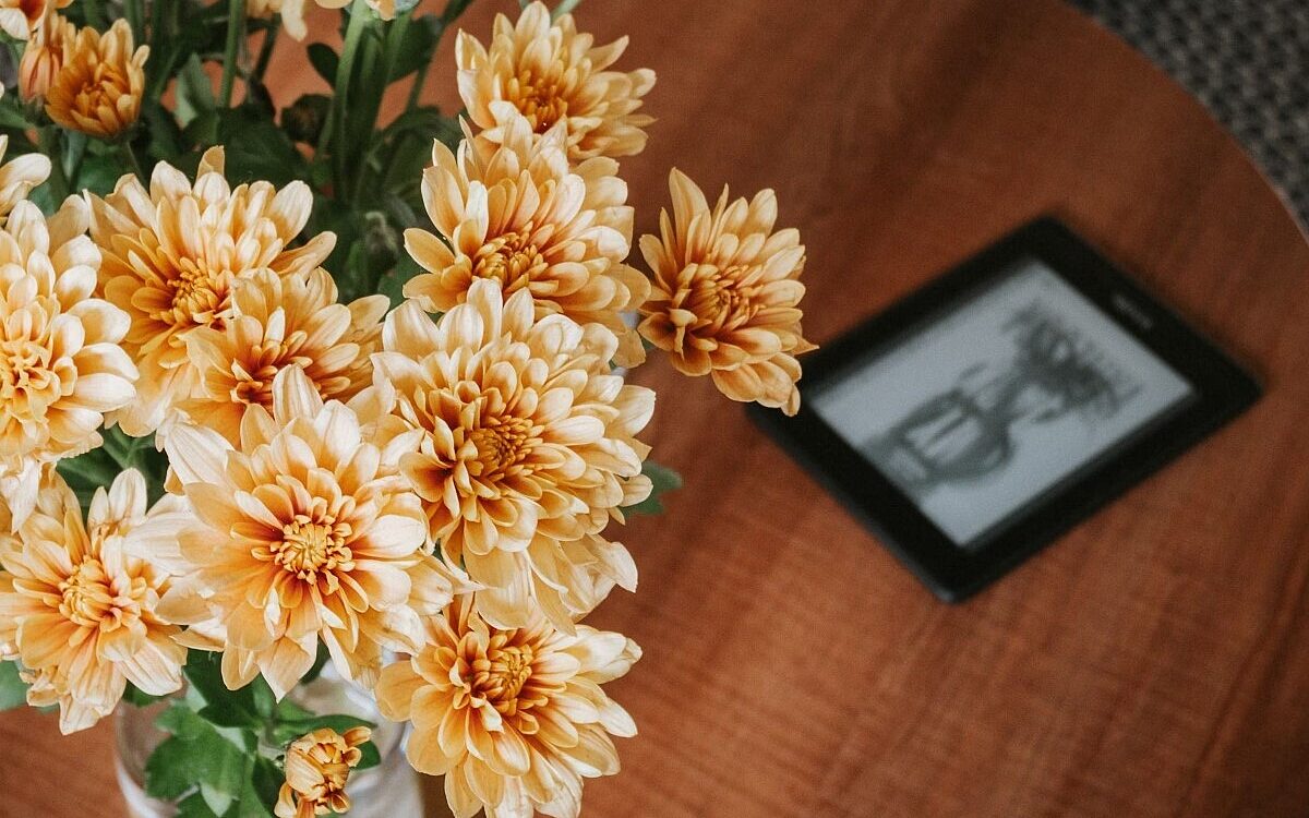 Blumen unsplash Blueten9 Blumen unsplash Blueten9