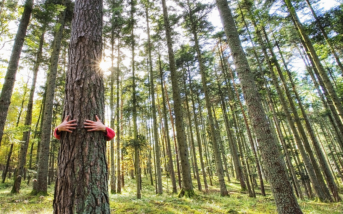 Ferienhaus Service RAD 2309 B2 pixabay Ferienhaus Service RAD 2309 B2 pixabay