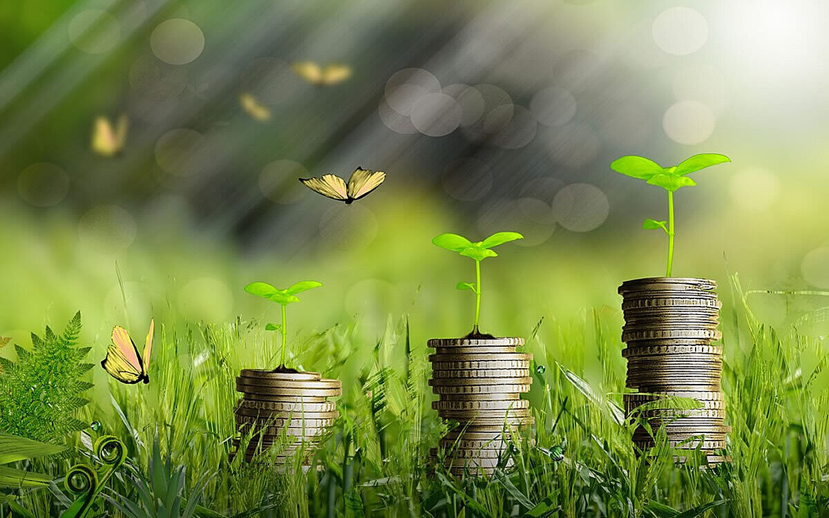 Geld Wiese pixabay service Geld Wiese pixabay service