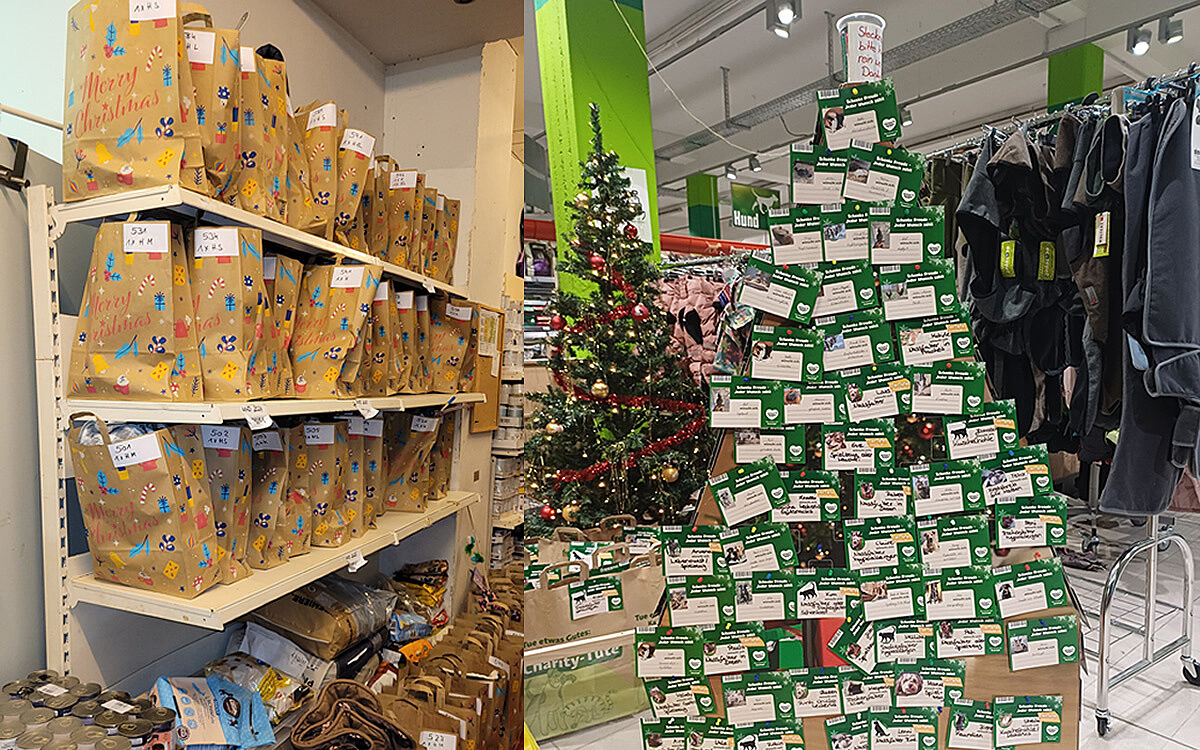 Gepackte Geschenktueten und Wuenschebaum Gepackte Geschenktueten und Wuenschebaum