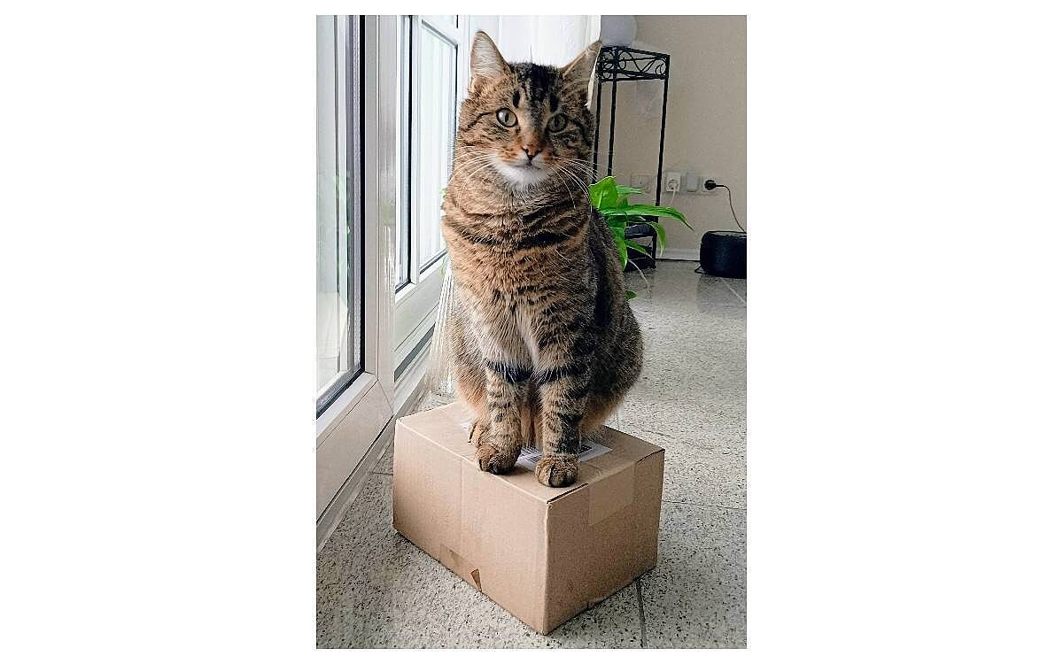 IMG 20260103 1515251873 IMG 20260103 1515251873