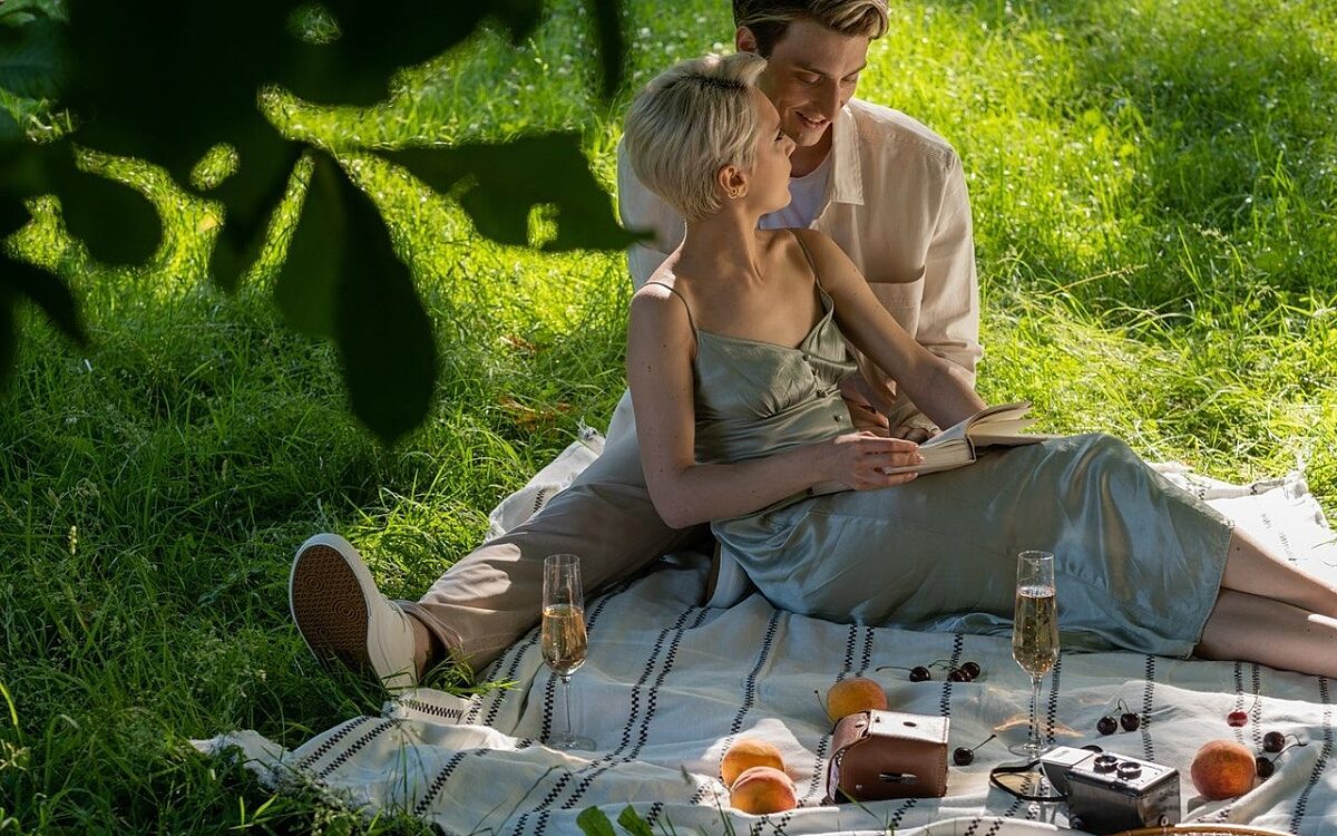 Paerchen Wiese Picknick Liebe Paerchen Wiese Picknick Liebe