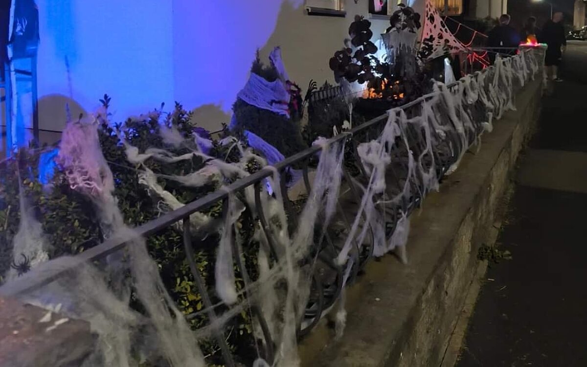 Whats App Image 2024 10 30 at 07 46 55 Whats App Image 2024 10 30 at 07 46 55