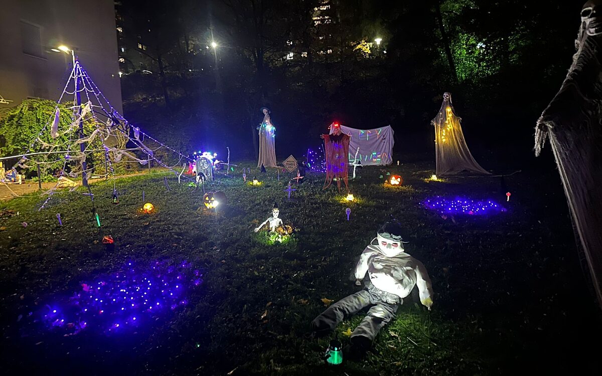 Whats App Image 2025 10 29 at 18 48 38 1 Whats App Image 2025 10 29 at 18 48 38 1