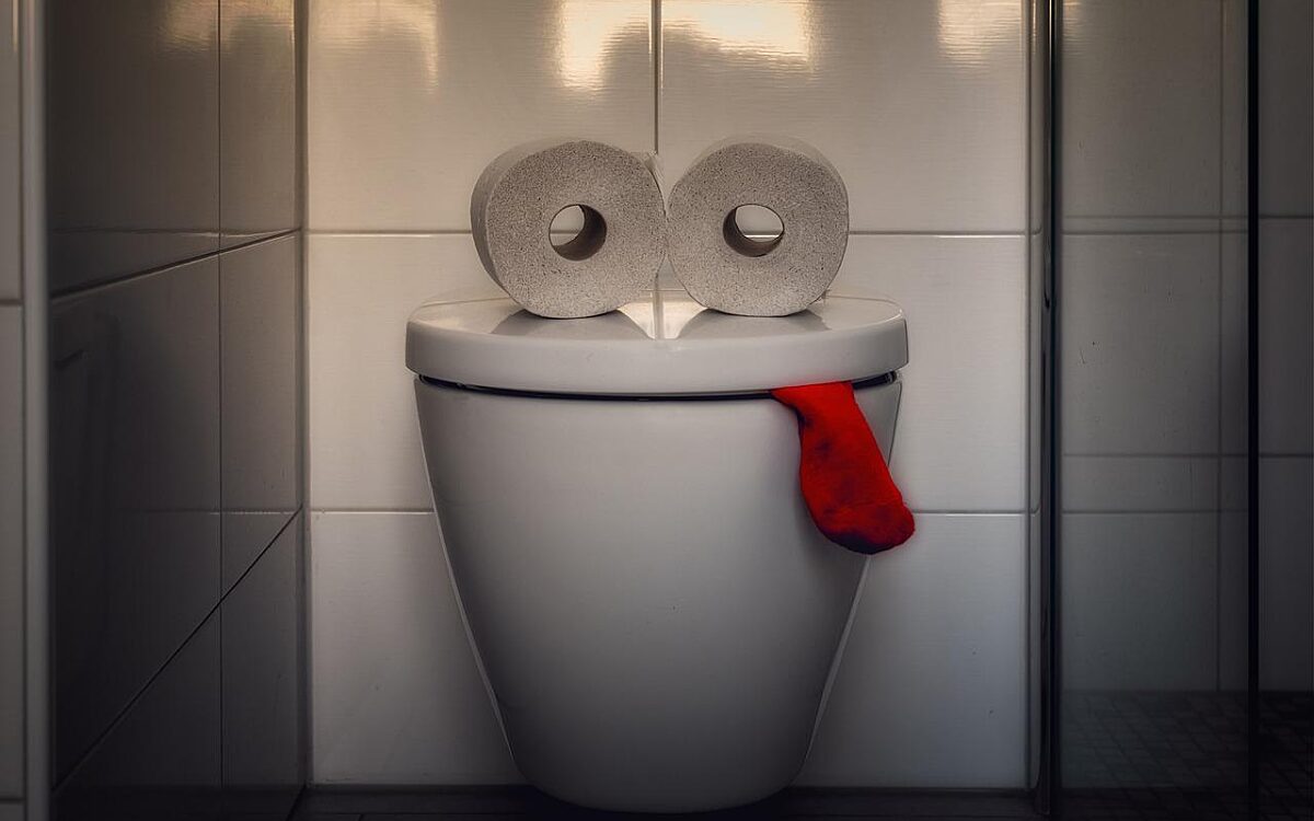 Klo verstopft - pixabay.com Klo verstopft - pixabay.com