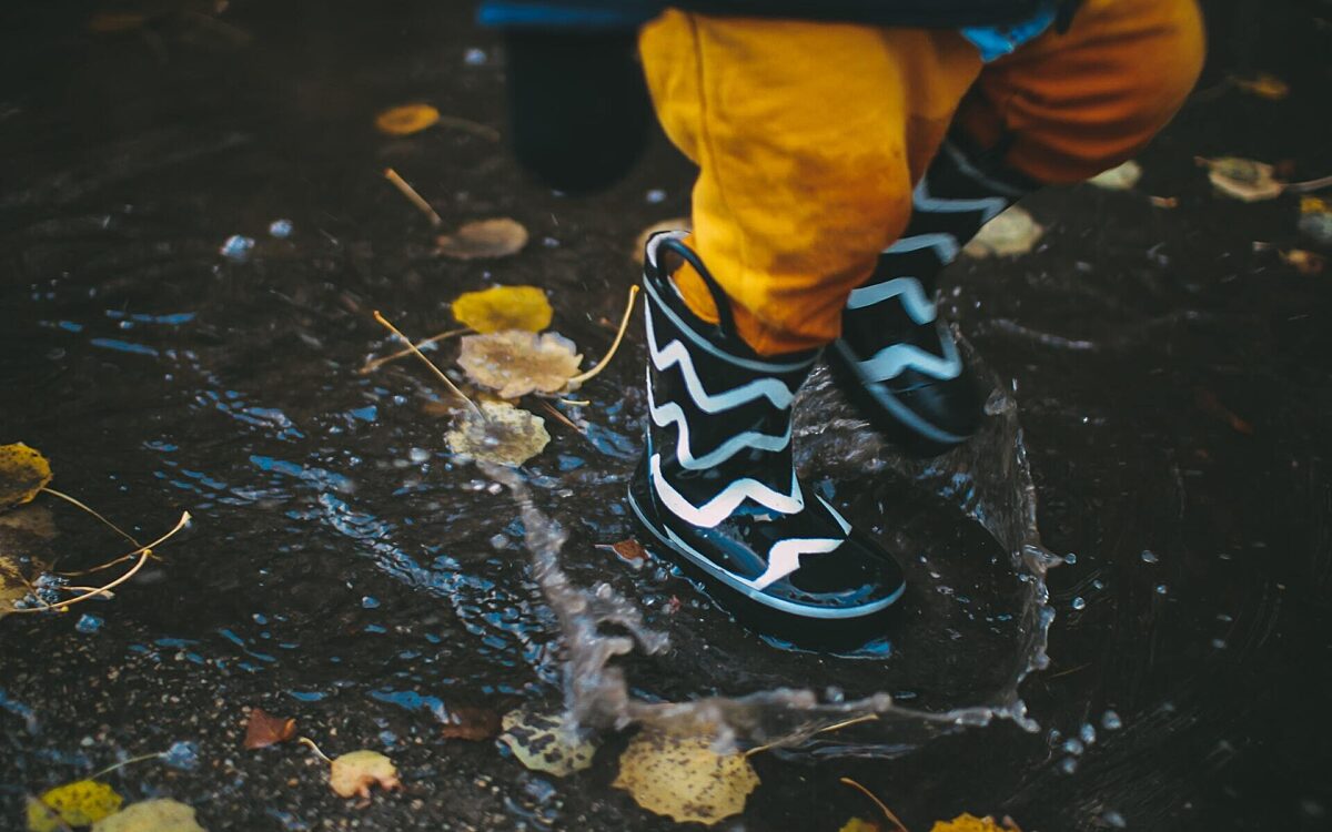 Daiga ellaby Ny1vy Ugid Mg unsplash Daiga ellaby Ny1vy Ugid Mg unsplash