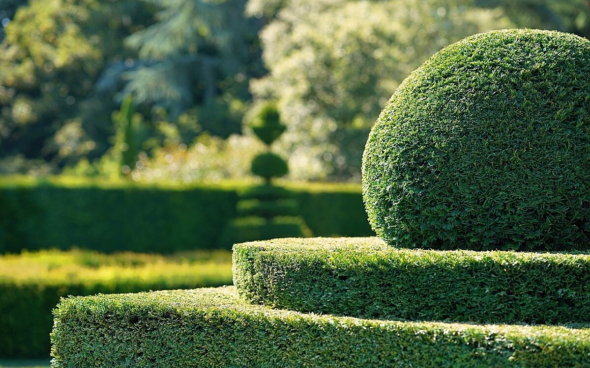 Garten Hecke - pixabay.com Garten Hecke - pixabay.com