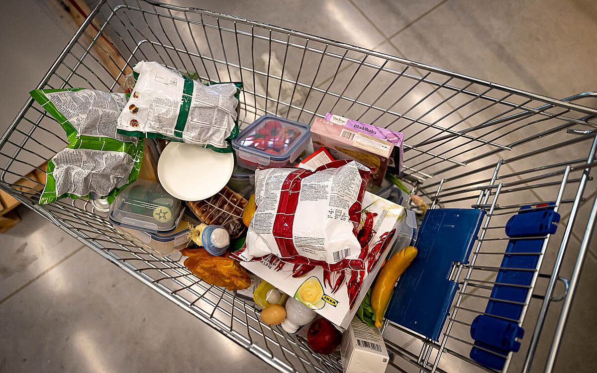 2022 08 19 Kuehlschrank Tetris 31 2022 08 19 Kuehlschrank Tetris 31