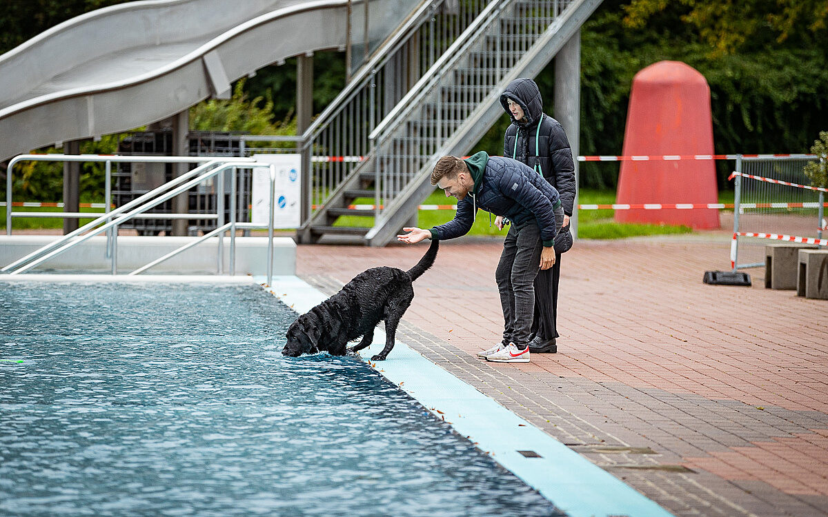 2022 10 01 Hundeschwimmen Dalle 10 2022 10 01 Hundeschwimmen Dalle 10
