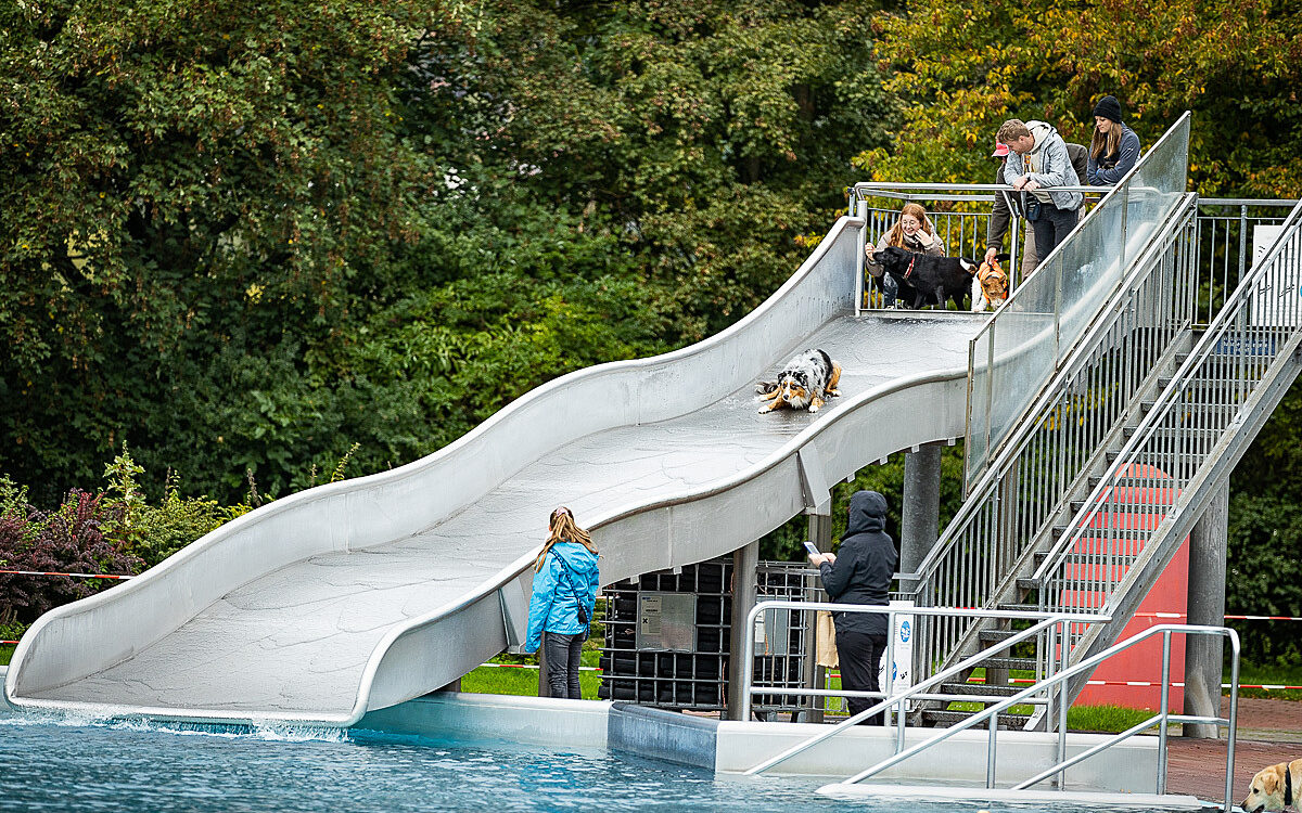 2022 10 01 Hundeschwimmen Dalle 21 2022 10 01 Hundeschwimmen Dalle 21