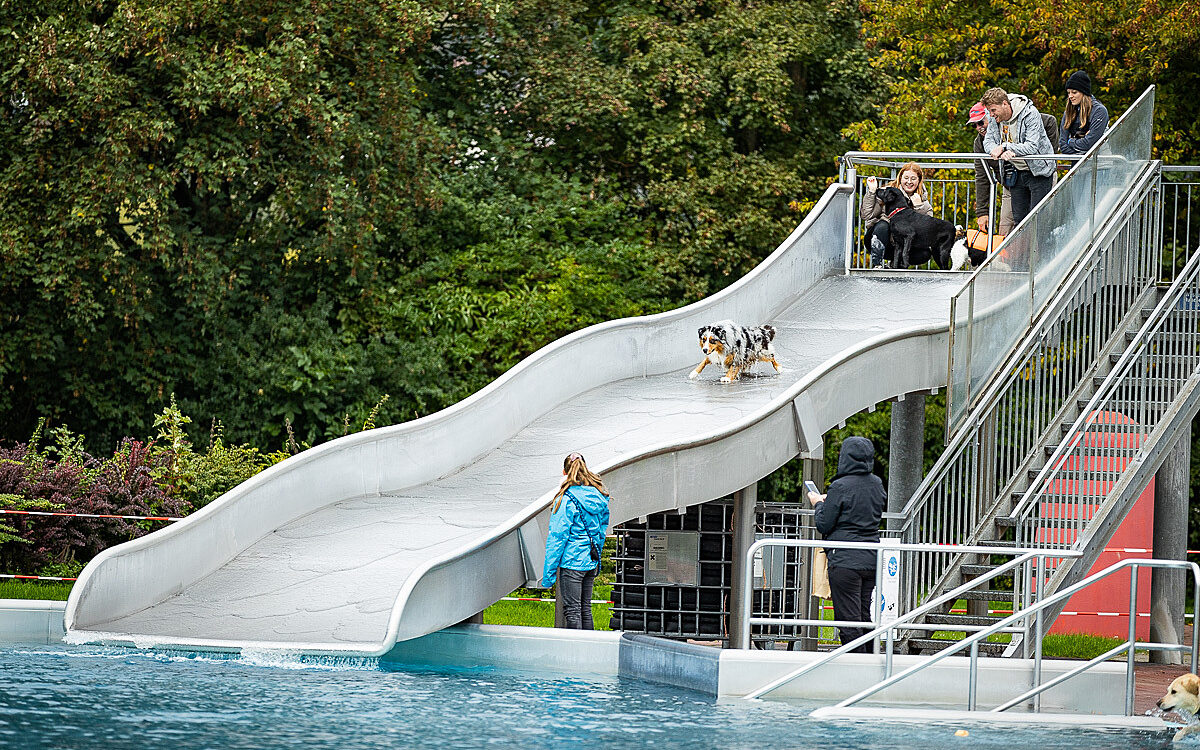 2022 10 01 Hundeschwimmen Dalle 22 2022 10 01 Hundeschwimmen Dalle 22