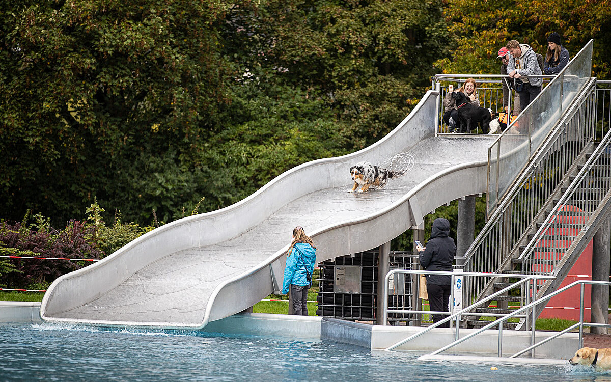 2022 10 01 Hundeschwimmen Dalle 23 2022 10 01 Hundeschwimmen Dalle 23