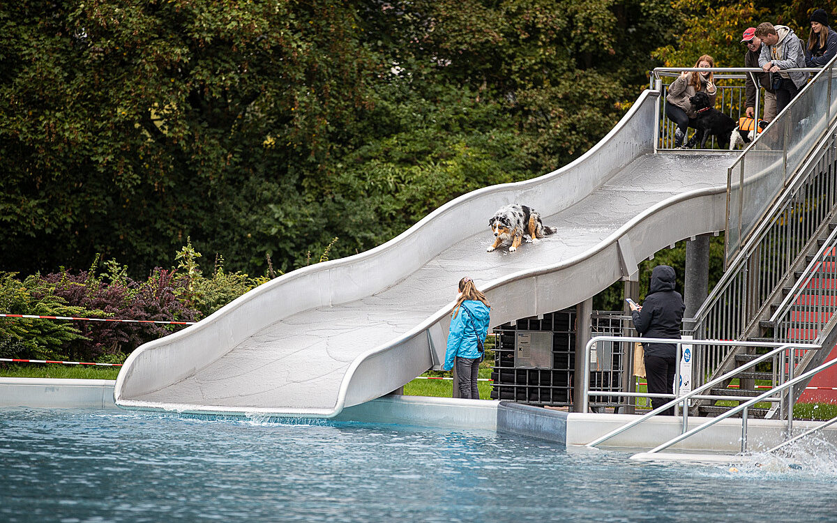 2022 10 01 Hundeschwimmen Dalle 24 2022 10 01 Hundeschwimmen Dalle 24