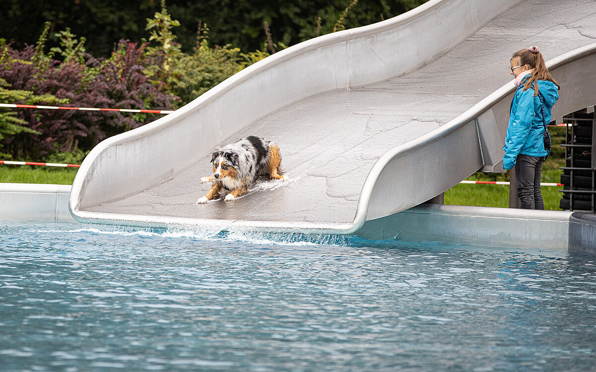 2022 10 01 Hundeschwimmen Dalle 25 2022 10 01 Hundeschwimmen Dalle 25
