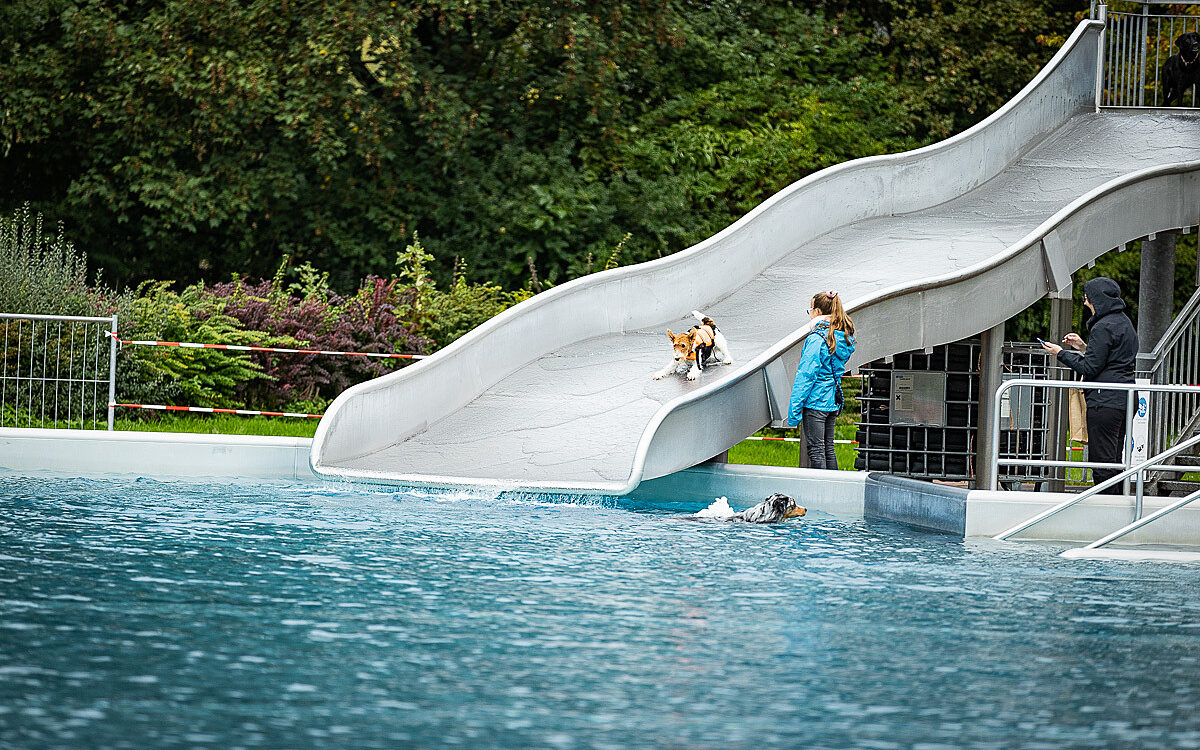 2022 10 01 Hundeschwimmen Dalle 26 2022 10 01 Hundeschwimmen Dalle 26