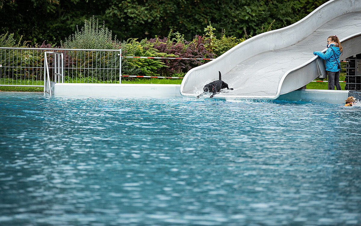 2022 10 01 Hundeschwimmen Dalle 29 2022 10 01 Hundeschwimmen Dalle 29