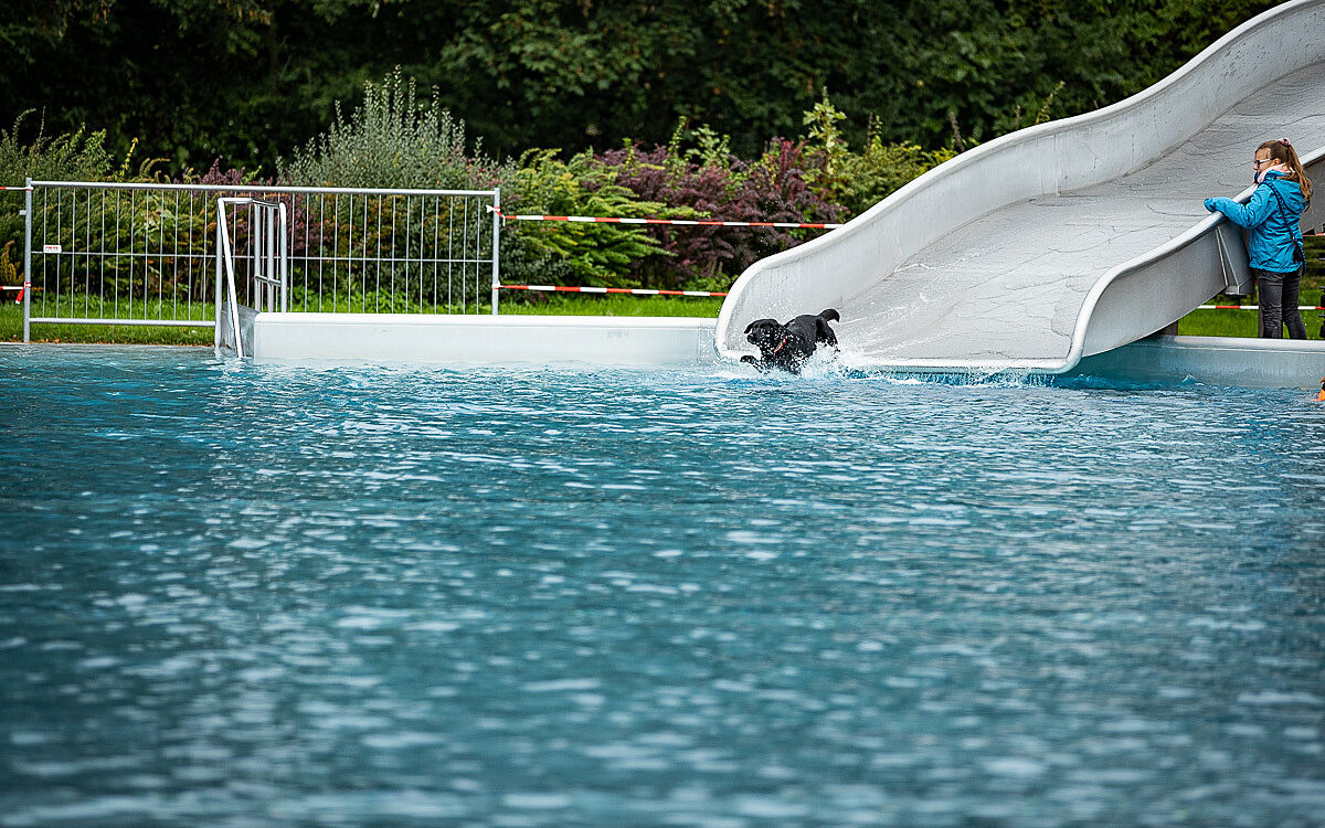 2022 10 01 Hundeschwimmen Dalle 30 2022 10 01 Hundeschwimmen Dalle 30