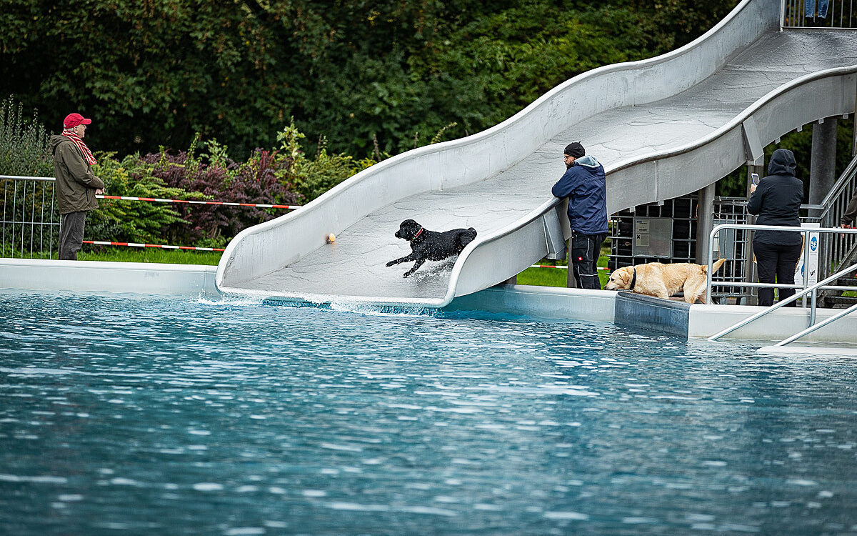 2022 10 01 Hundeschwimmen Dalle 34 2022 10 01 Hundeschwimmen Dalle 34