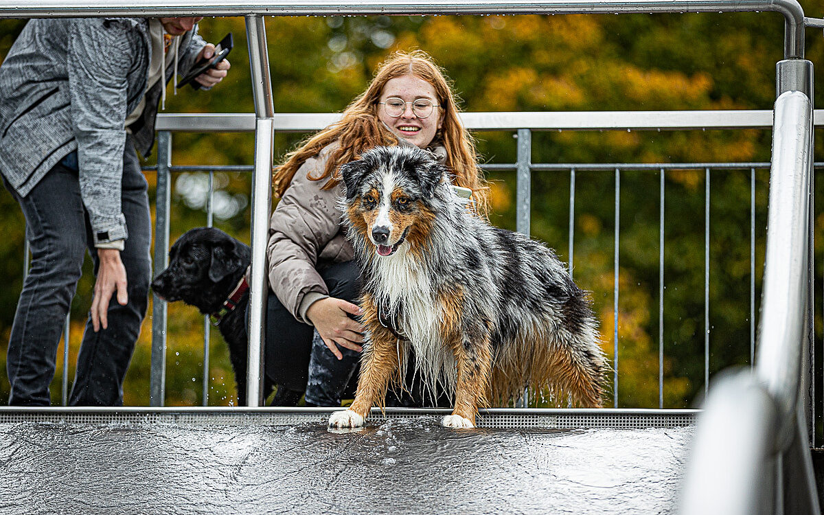 2022 10 01 Hundeschwimmen Dalle 41 2022 10 01 Hundeschwimmen Dalle 41