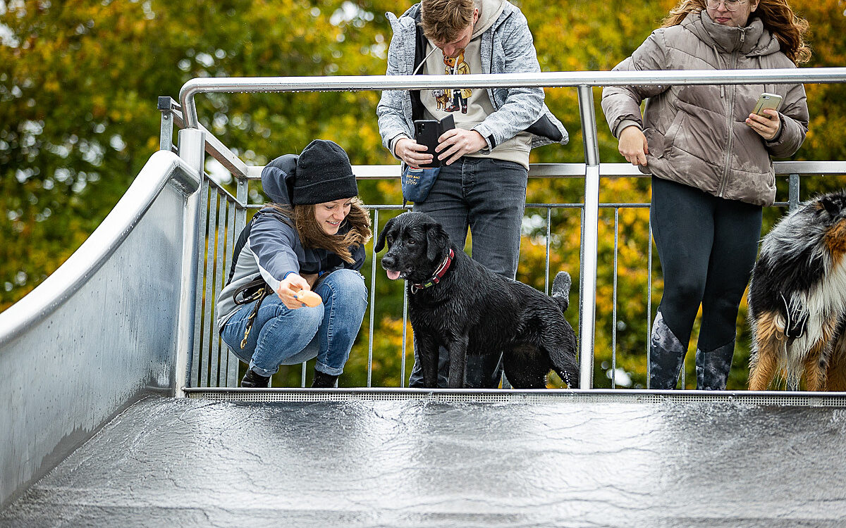 2022 10 01 Hundeschwimmen Dalle 42 2022 10 01 Hundeschwimmen Dalle 42