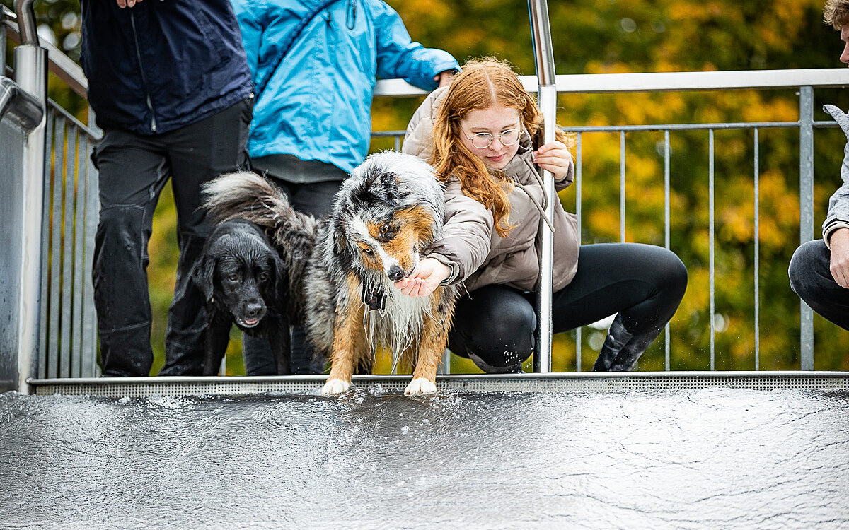 2022 10 01 Hundeschwimmen Dalle 43 2022 10 01 Hundeschwimmen Dalle 43