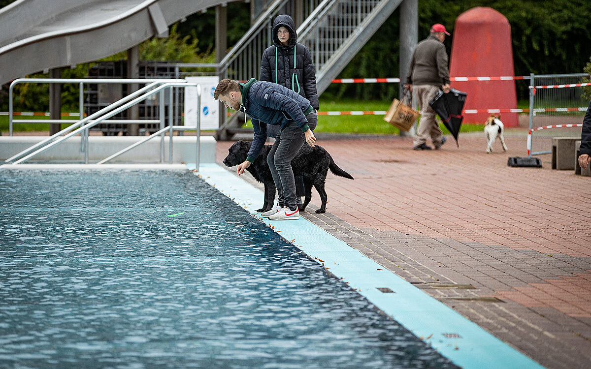 2022 10 01 Hundeschwimmen Dalle 8 2022 10 01 Hundeschwimmen Dalle 8