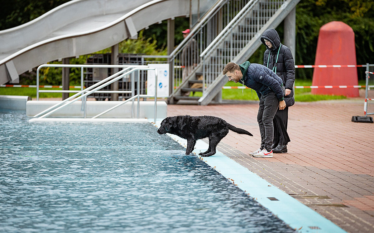 2022 10 01 Hundeschwimmen Dalle 9 2022 10 01 Hundeschwimmen Dalle 9