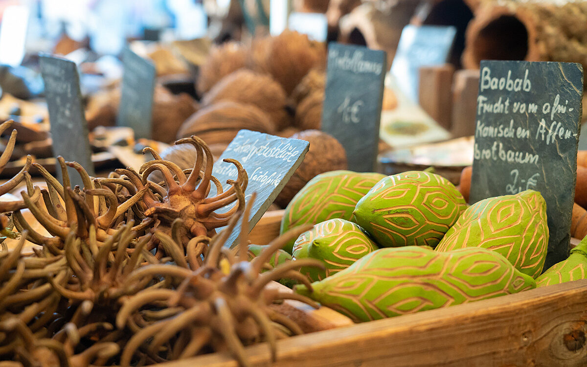 20220529 Africa Festival 19 20220529 Africa Festival 19