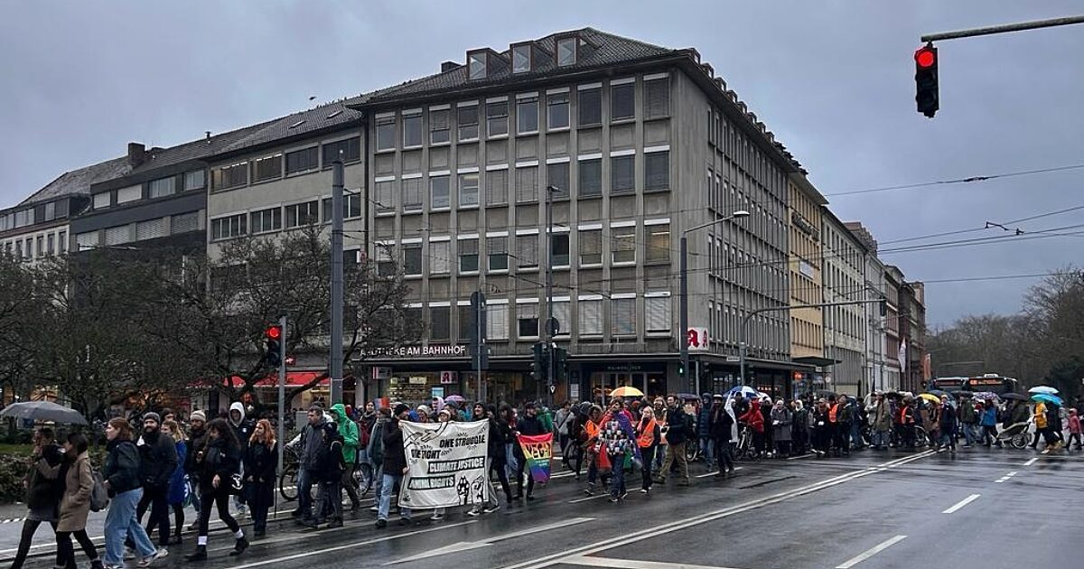 Würzburg Rund 300 Menschen bei Demos in Würzburg Mainfranken24.de