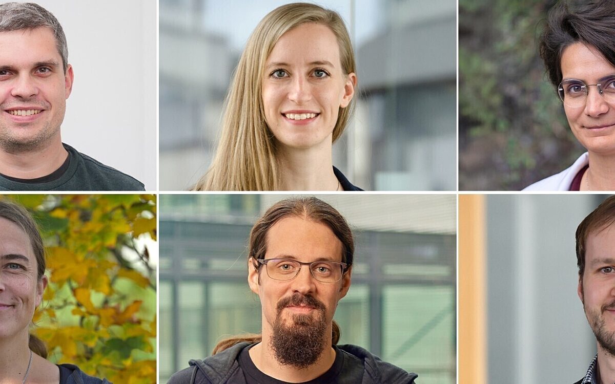 Starting Grants Starting Grants