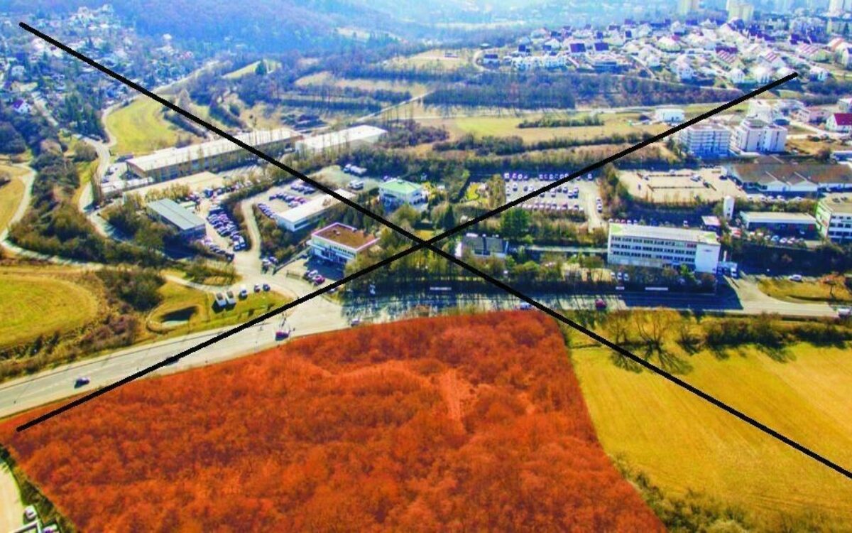 16049272121604898838kirschberg2 16049272121604898838kirschberg2