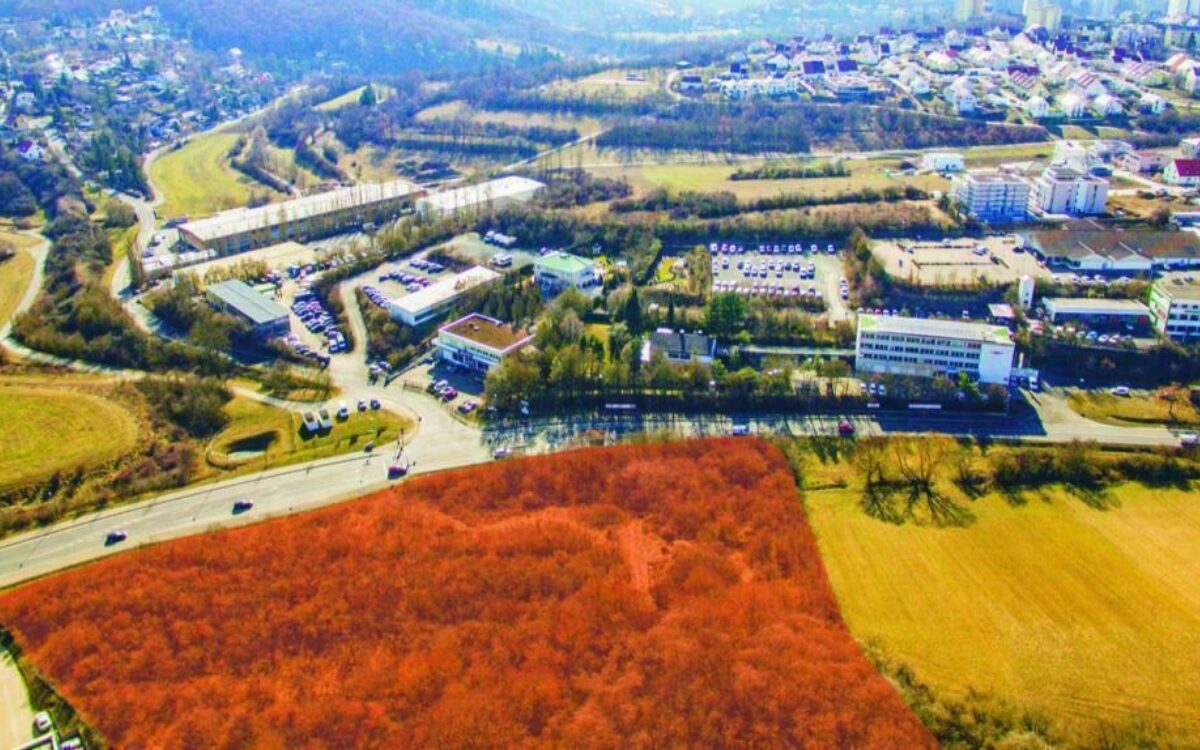 16050065831604898838kirschberg 16050065831604898838kirschberg