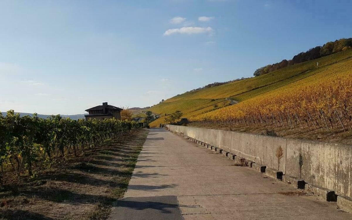 1606885456wrrzburger stein im herbst by fh 1606885456wrrzburger stein im herbst by fh