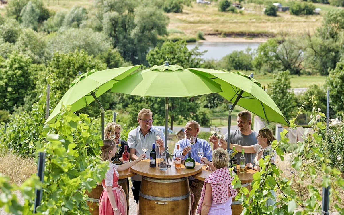 2023 Kolitzheim Stammheim Weinfuehrung Genuss 2023 Kolitzheim Stammheim Weinfuehrung Genuss