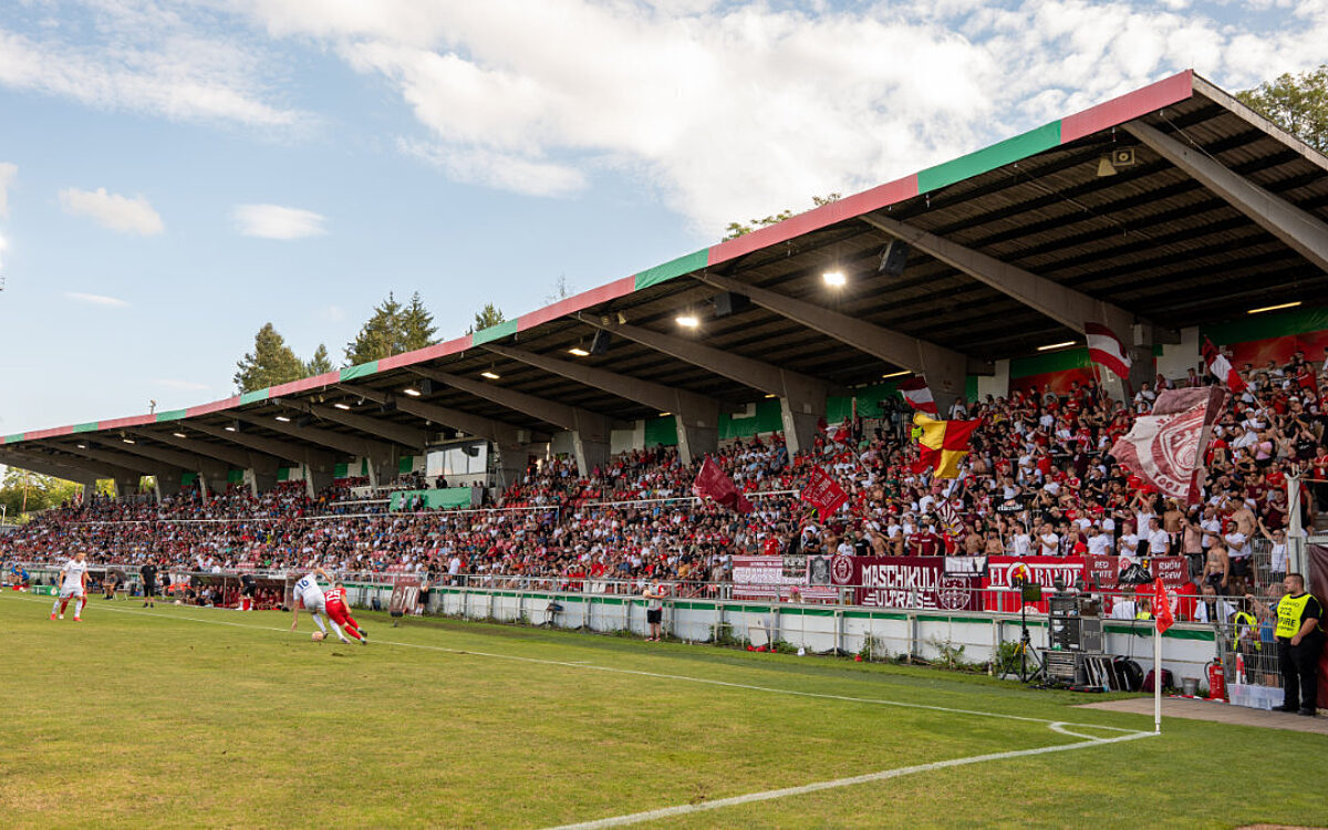 Würzburger Kickers Fans 7 Würzburger Kickers Fans 7