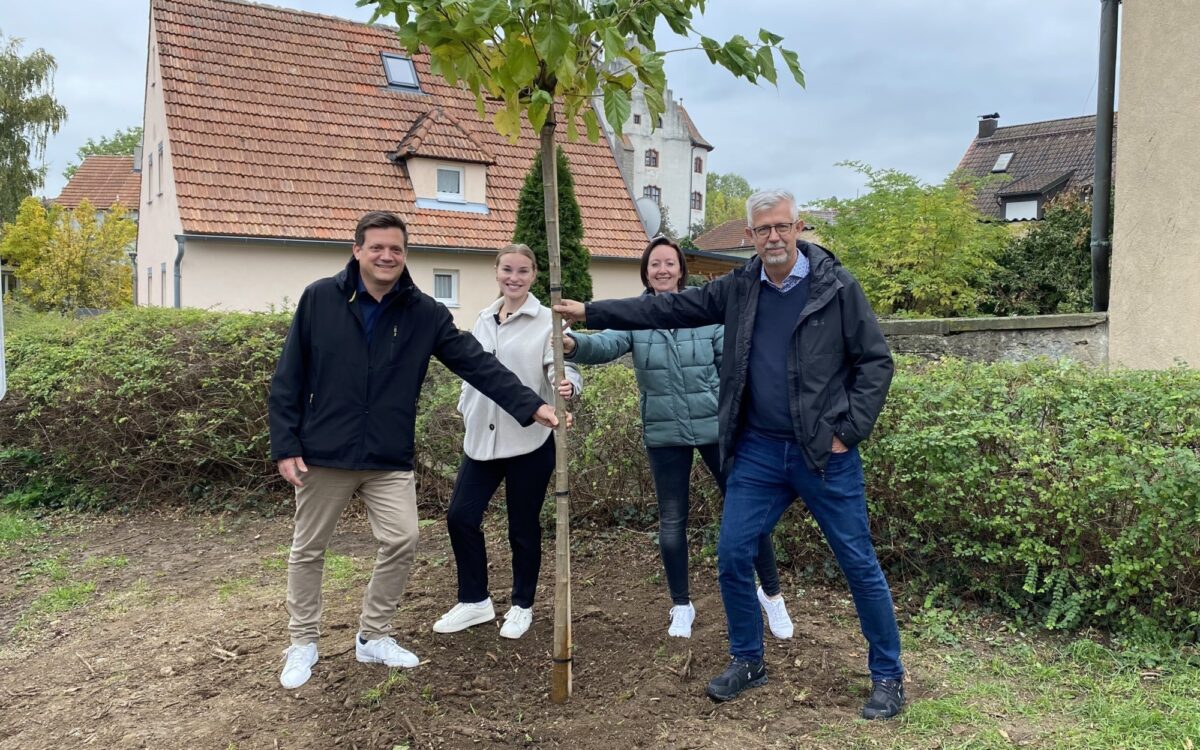 Die Sparkasse spendet in Mainfranken 36 Bäume Die Sparkasse spendet in Mainfranken 36 Bäume