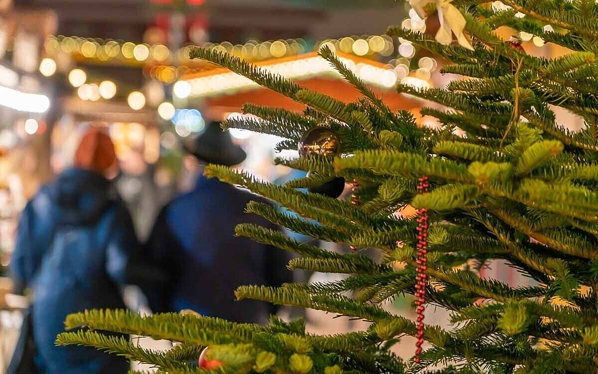 Würzburger Weihnachtsmarkt mit Blick auf den einen Weihnachtsbaum am Unteren Markt Würzburger Weihnachtsmarkt mit Blick auf Weihnachtsbaum am Unteren Markt