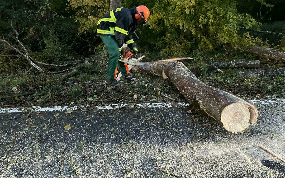 Ein Feuerwehrmann der Feuerwehr Volkach zersägt einen größeren herabgefallenen Ast Ein Feuerwehrmann der Feuerwehr Volkach zersägt einen größeren herabgefallenen Ast