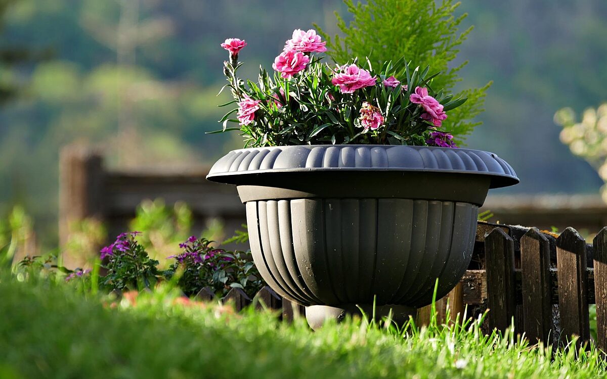 Blumenkuebel Blumenkuebel