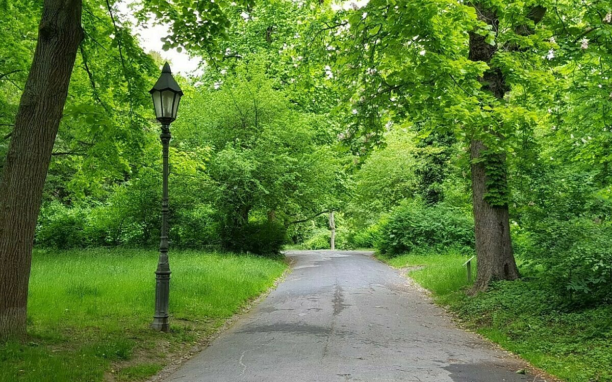 Das ist der Ringpark in Wuerzburg im Sommer Das ist der Ringpark in Wuerzburg im Sommer