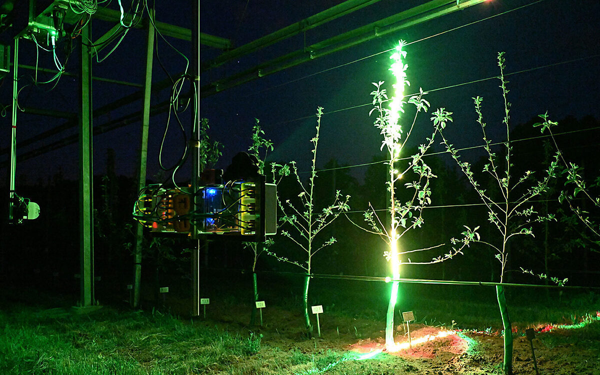 Der 3D Laserscanner der Uni Wuerzburg im Einsatz an Apfelbaeumen 2 Der 3D Laserscanner der Uni Wuerzburg im Einsatz an Apfelbaeumen 2