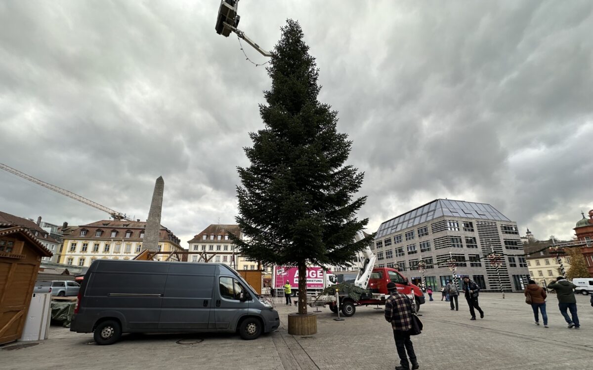 Der Weihnachtsbaum steht auf dem Unteren Markt