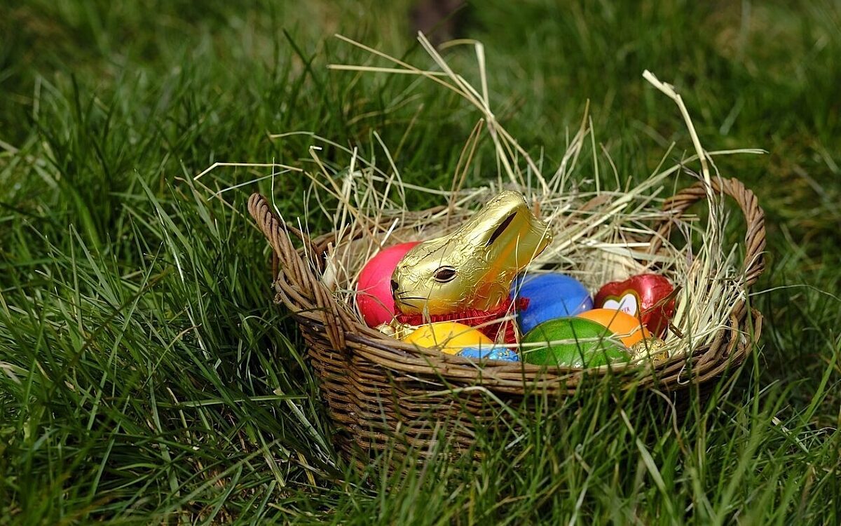 Ein Osternest mit einem Schokoosterhasen Ein Osternest mit einem Schokoosterhasen