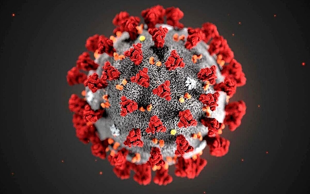 Eine Darstellung des Coronavirus Eine Darstellung des Coronavirus
