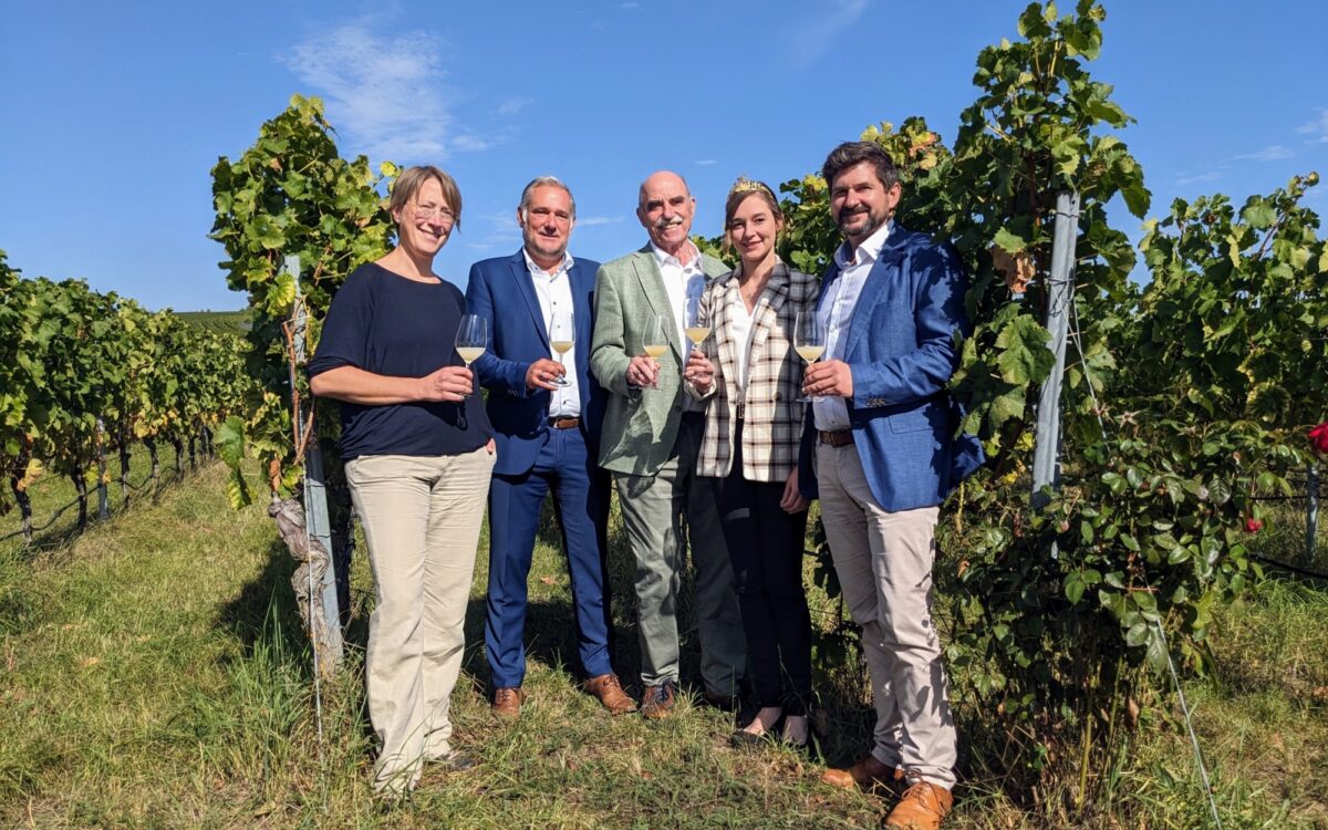 Erntebilanz 2023 in Franken Erntebilanz 2023 in Franken