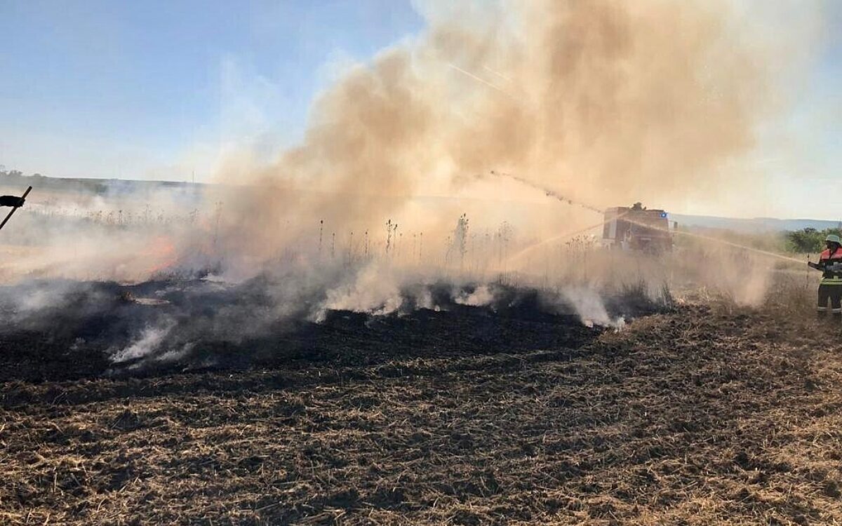 Ein trockenes Feld steht in Flammen Ein trockenes Feld steht in Flammen