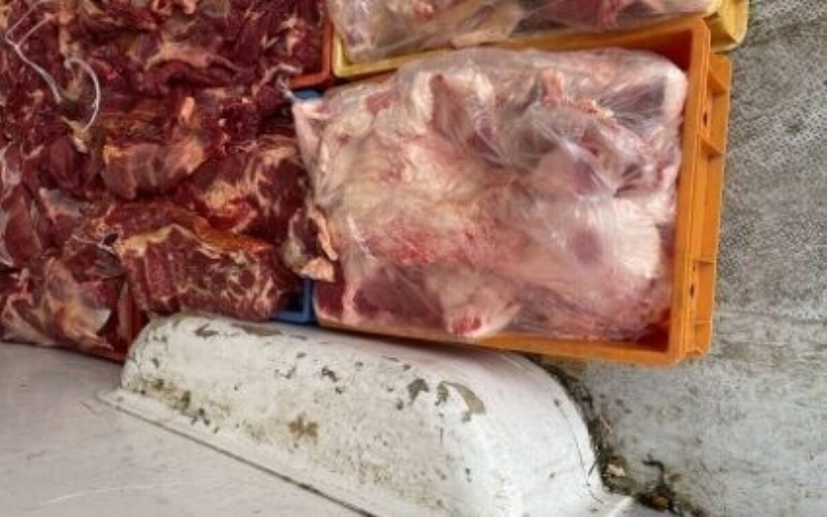 Gammelfleisch in einem Sprinter Gammelfleisch in einem Sprinter