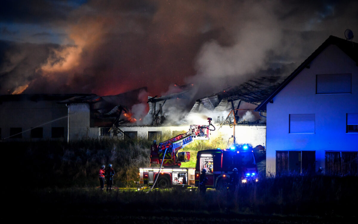 Grossbrand Wiesenfeld Feuerwehreinsatz Grossbrand Wiesenfeld Feuerwehreinsatz