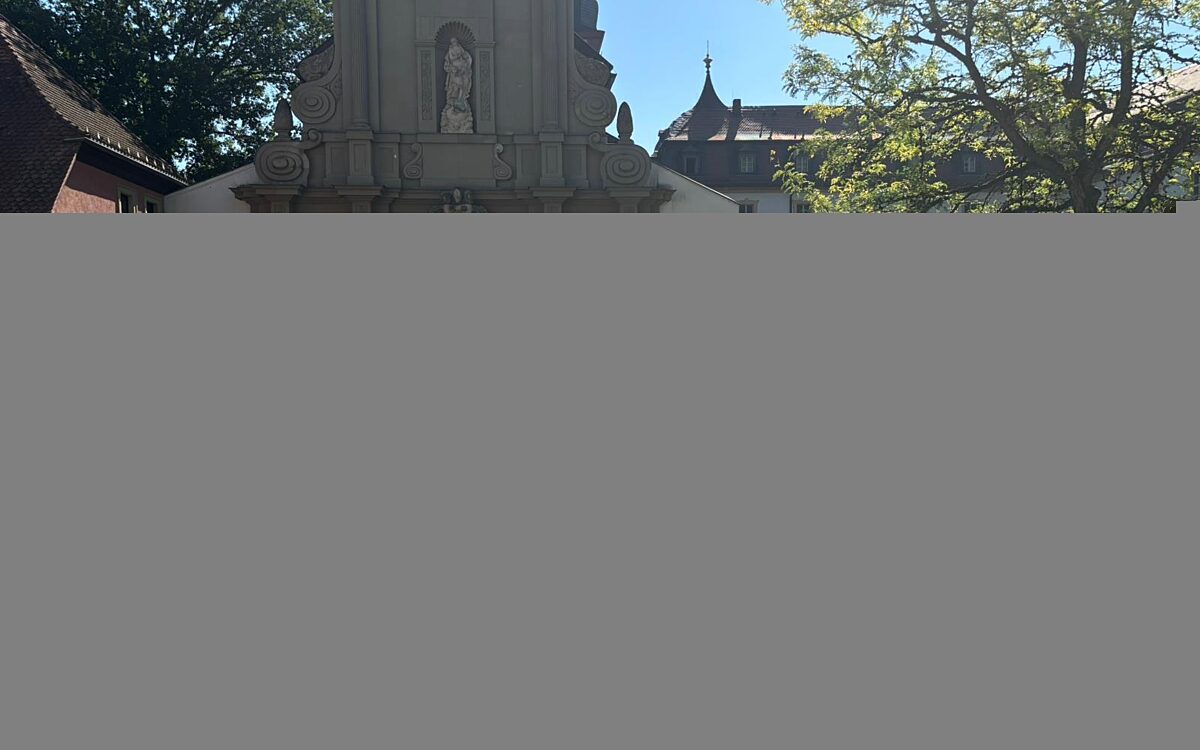 Grosseinsatz nach Missverstaendnis an Schule in Zell 1 Grosseinsatz nach Missverstaendnis an Schule in Zell 1